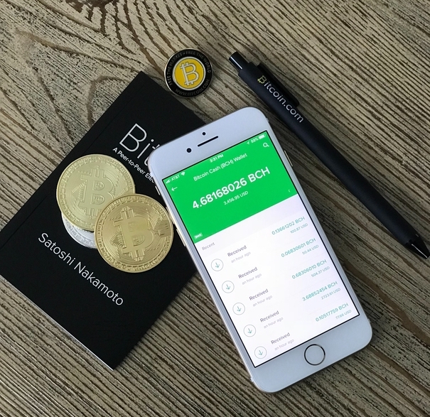Are names for virtual currencies registrable as trademarks?