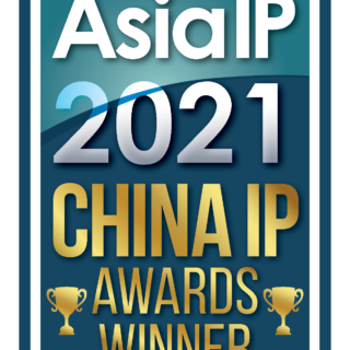 China's IP Experts 2021 - HFL Recognition