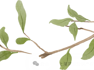 鸿孚热讯：鸿孚律师受邀参加华东政法大学“科技创新与新文娱法治论坛”并进行主题分享